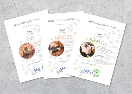 certificate of virtual adoptions